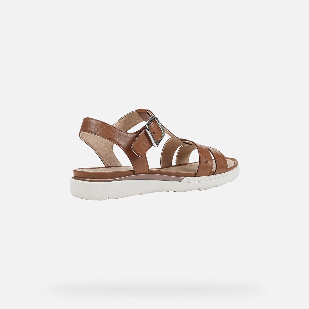 Sandalias Geox Senhora Marrom - Hiver - PGASI2396